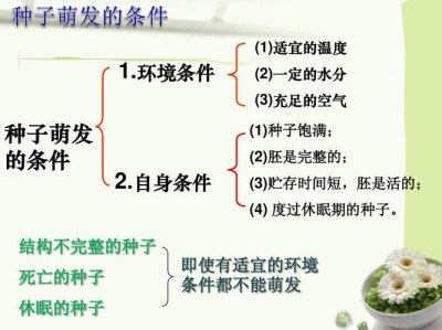 ​种子萌发所需要的条件有哪些
