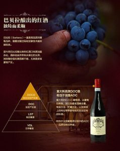 ​雪花纯生酒精度多少度，雪花纯生度数高吗