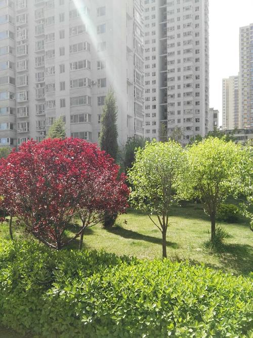 第二天:中午游览太原的万柏林区,然后乘公交前往阳曲县的小南门