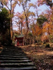 ​湖南哪里好玩的景点
