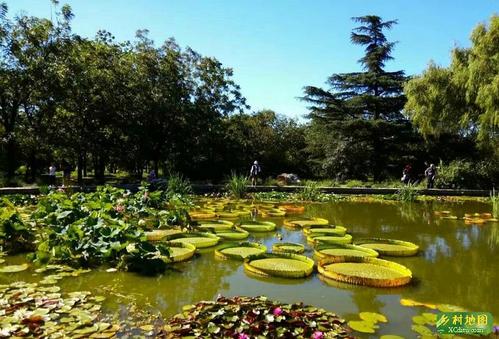 3、北京植物园