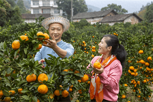 庐山西海是哪里的哪个省的(庐山西海旅游攻略)