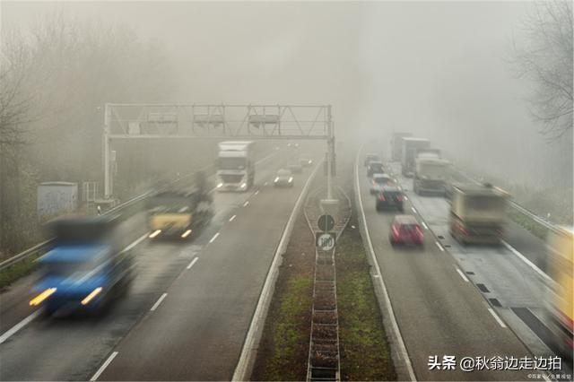 青黄不接一般指几月(青黄不接比喻人是什么意思)