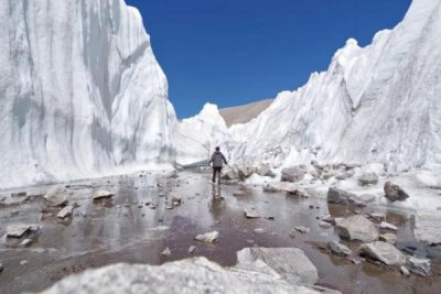 ​雪莲冰川一号酒价格52度(雪莲冰川二号)