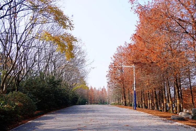 3.如果您选择自驾前往的话,建议尽量不要购买装备直接开车,而是到附近的郊野公园露营,然后再徒步从各个地点返回,这样可以节省大量时间和体力。