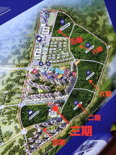 4、惠阳淡水东海岸