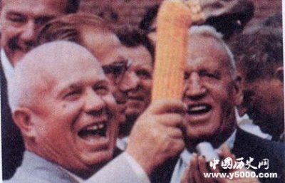 ​玉米运动：忽略自然环境的失败运动