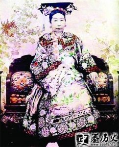 ​辛酉政变杀八大臣是怎么一回事