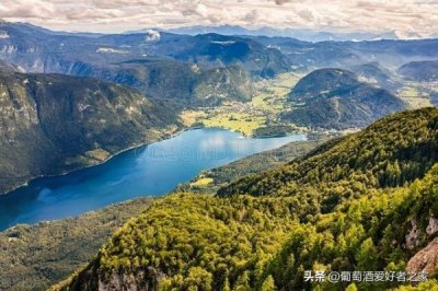 ​拉图-玛蒂雅克庄园白葡萄酒，拉图玛萨堡葡萄酒价格
