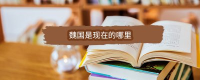 ​魏国是现在的哪里