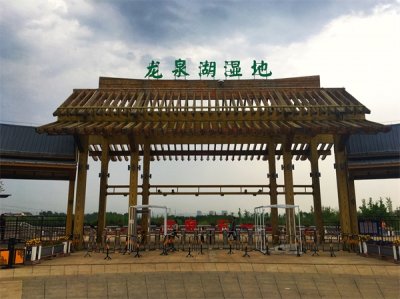​石家庄这个湿地公园，面积比颐和园还要大，风景优美还不要门票