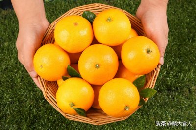 ​“果冻橙”和“普通橙”有啥区别？差别不止一点，知道别再乱买了