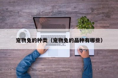 ​宠物兔的种类（宠物兔的品种有哪些）