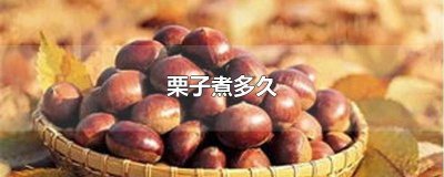 ​糖炒栗子炒的时候放糖吗 糖炒栗子为什么要放盐炒