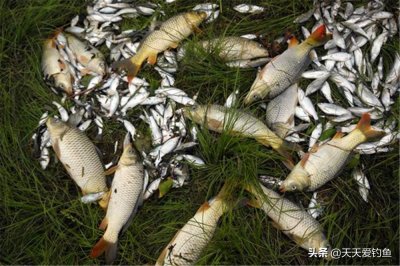 ​钓鱼气压多少适合钓鱼夏天（钓鱼技巧：气压的高低跟钓鱼的关系，是否气压低一
