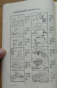 ​还记得小时候自然课程中风力等级儿歌吗