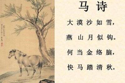 ​马诗的意思及诗意注释