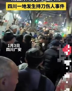 ​四川一男子遛狗不牵绳，与路人发生纠纷后被捅伤