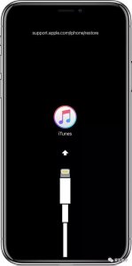 ​苹果x怎么进入dfu模式教程(iPhoneX如何进入dfu恢复模式)