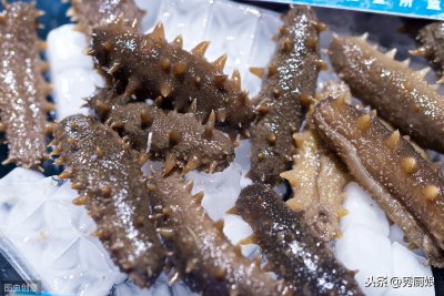 ​干海参的泡发方法（干海参的泡发方法图解）