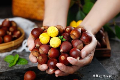 ​生板栗怎么去皮和壳最快（生板栗怎么去皮和壳最快不用热水泡）
