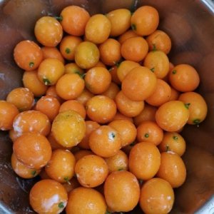 ​枇杷冰糖的腌制方法（枇杷冰糖的腌制方法大全）
