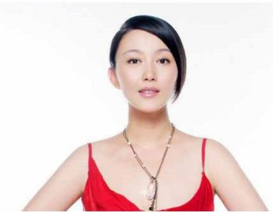 ​丁柳元（中国内地女演员，导演）