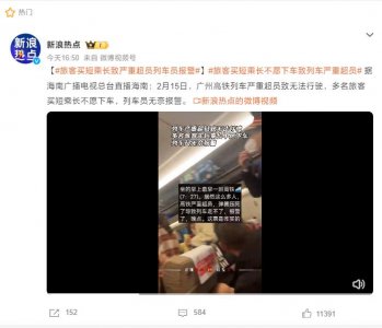 ​12306回应返程车票买不到：列车几乎都在运行中，很难临时加开