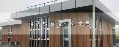 ​暗访检查是什么意思呀英文翻译 暗访检查是什么意思呀英文怎么说