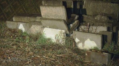 ​两名日本人因偷井盖被捕，身份让人吃惊