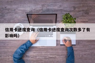 ​信用卡进度查询（信用卡进度查询次数多了有影响吗）
