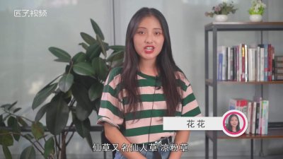 ​仙草是什么意思 仙草是什么东西