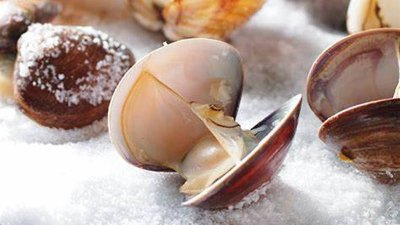 ​蛤蜊去沙的窍门