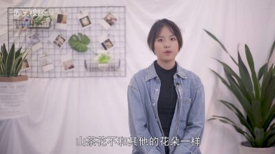 ​关于山茶花的花语 山茶花的寓意与花语