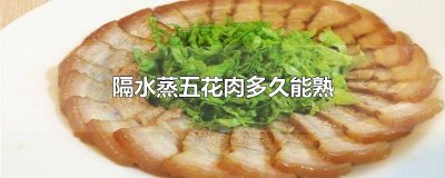 ​五花肉蒸几分钟熟 五花肉蒸几分钟熟透