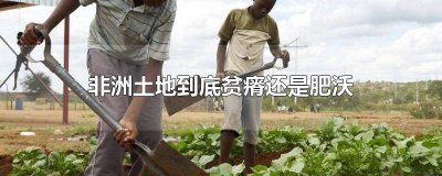 ​非洲哪些国家土地肥沃 非洲的土地是最肥沃的吗