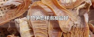 ​干竹笋怎样泡发最好丝 干竹笋怎样泡发最好图