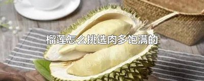 ​怎么挑榴莲肉比较饱满好吃 怎么挑榴莲肉比较饱满一点