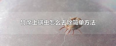 ​竹席去螨虫 如何清除凉席的螨虫