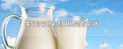 ​牛奶结块但没变味在保质期内 保质期内牛奶变质