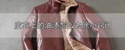 ​皮衣上的油渍怎么去除小窍门图解视频 皮衣上的油渍怎么去除小窍门图解大全