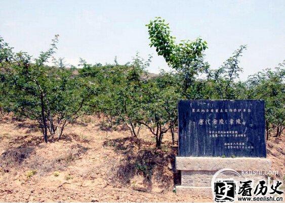 李昂是怎么死的 李昂为何活活被太监气死