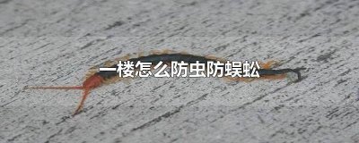 ​一楼好多蜈蚣怎么办 怎么防止家里有蜈蚣之类的虫子爬