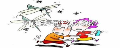 ​有什么办法除蚊子房间里 房间内有蚊子如何祛除