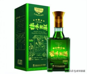 ​云南有什么酒比较出名(云南什么酒是最好喝的)