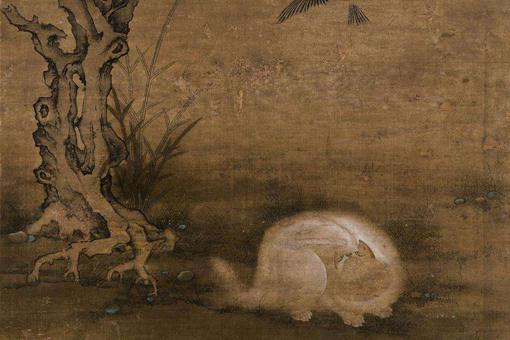 猫在古代为什么被称为狸奴?