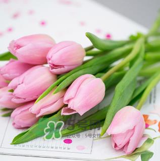 鲜花怎么保存时间长 鲜花怎么保鲜