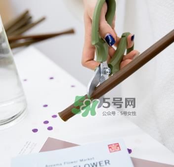 鲜花怎么保存时间长 鲜花怎么保鲜