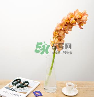鲜花怎么保存时间长 鲜花怎么保鲜