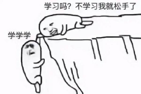 卷心菜是什么梗 卷是什么意思网络用语 卷心菜是什么梗 卷是什么意思网络用语